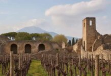 Pompei, Ischia e i luoghi storici del vino Luoghi storici del vino