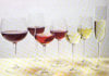 Images Public Dps News Vinocolori 677162
