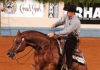 Images Public Dps News Reining Cavallo 89775