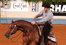 Images Public Dps News Reining Cavallo 89775
