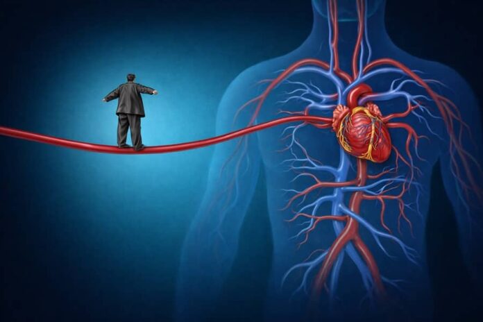 cuore Infarto del miocardio e terapie cuore Infarto del miocardio e terapie