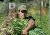 LOMBARDIA. TRE MILIONI PER GIOVANI AGRICOLTORI LOMBARDI Images Public Dps News Agricoltorejpg 125069