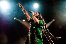 Images Public Dps News Alborosie230x 27901 Images Public Dps News Alborosie230x 27901