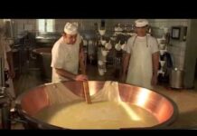 La lavorazione del Parmigiano Reggiano Parmigiano Reggiano Lavorazione