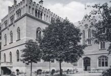 L’Istituto Scolastico Vittoria Colonna di Milano Istituto Vittoria Colonna