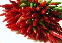 Images Public Dps News Peperoncino 639244