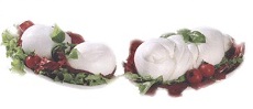 mozzarellabufala230x99