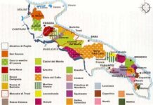 mappa vini_puglia