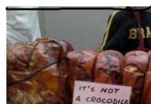La Porchetta Romana conquista Londra. Le eccellenze enogastronomiche del territorio Laziale creano sviluppo e lavoro porchetta romana