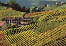 Le Langhe il loro fascino a Nebbiolo esclusivo evento dedicato al vino Piemontese langhe