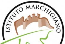 Porto San Giorgio (FM), I vini marchigiani alla 1° edizione di “Vongolopolis” rilanciano il pesce dell’adriatico. imt 21