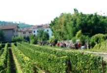In Valpolicella a Negrar “MAGNALONGA Settembrina 2012” magnalonga-settembrina