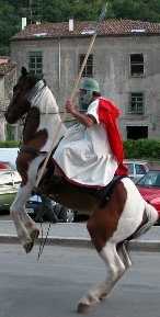 Ver Sacrum - cavallo imbizarrito