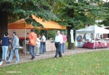 TORNA LA CULTURA DEL GUSTO PAVESE CON IL MEC, DAL 31 AGOSTO Images Public Dps News Mercatinocertosapavia230x 670662