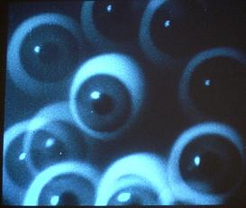 Hans Richter_-_Filmstudie_still_1926