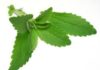 STEVIA. 2