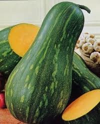 ZUCCA.1. jpg