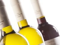 Grandi Vigne da Iper, la grande I GVBio low