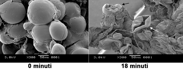 0minuti-18minuti 630x