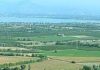 CAMPAGNA