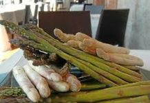 Le nostre ricette con gli “Asparagi” APARAGI VARIETA
