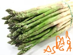 ASPARAGI
