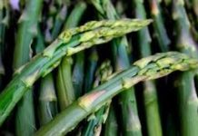 Gli asparagi dell’azienda agricola Canciello Fratta Maggiore NAPOLI ASPARAGO