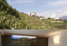 Hotel and vineyards