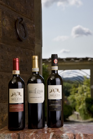 VINI CASTELLO MELETO
