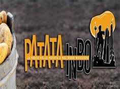 patata in bo
