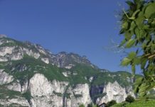 I Vignaioli del Trentino una serata di degustazione vigneti estate23