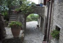 A Borgo Casale (Bo), porcini e trota borgo casale