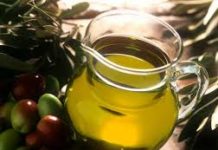 PERUGIA. FINO AL 8 DICEMBRE “FRANTOI APERTI” olbio olbia