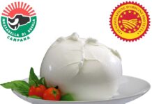 Campania ricette. Mozzarella di Bufala: insalata bianco-verde Marchio Dop Mozzarella Di Bufala Campana