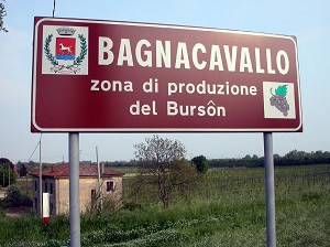 cartello-burson