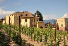 Tramin & Friuli
a Castel Rechtenthal a Termeno sulla strada del vino Castel Rechetenthal