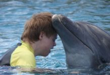 PET-THERAPY UN DELFINO PER AMICO dolphin therapy - delfino terapia pet