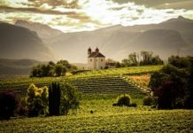 “SPATIUM PINOT BLANC”: OLTRE 80 TOP PRODUTTORI PROVENIENTI DA TUTTA EUROPA OSPITI AD APPIANO (BZ) Eppan-Gleif KL
