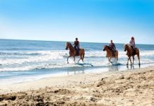 AL GALOPPO IN RIVA AL MARE Villaggio Barricata spiaggia a cavallo b