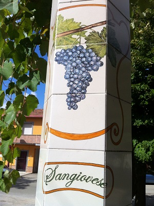 castelvenere