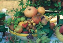 RAVENNA. DOPPIA FESTA DEI FRUTTI DIMENTICATI A CASOLA VALSENIO, 11-12 E POI 18-19 OTTOBRE Festa dei Frutti dimenticati a Casola Valsenio-foto Circolo Fotografico Casolano