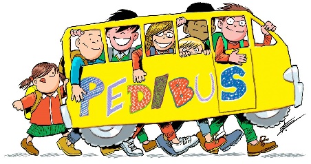 pedibus