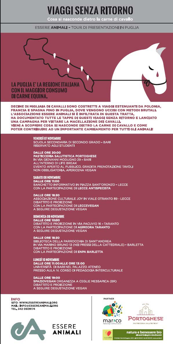 Campagna animali r