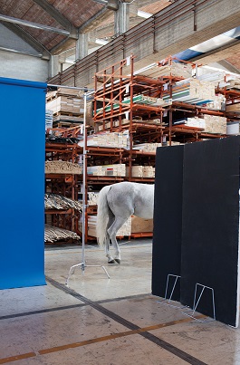 PHOTO BACKSTAGE 02 RGB