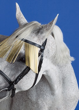 PHOTO CAMPAIGN 04 RGB