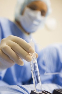 Fecondazione In Vitro fecondazione in vitro