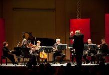 DivertimentoEnsemblePhilippe Stirnweiss-7