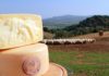 PECORINO TOSCANO DOP: TUTTO PRONTO PER TUTTOFOOD A MILANO DAL 3 AL 6 MAGGIO PECORINO TOSCANO dop