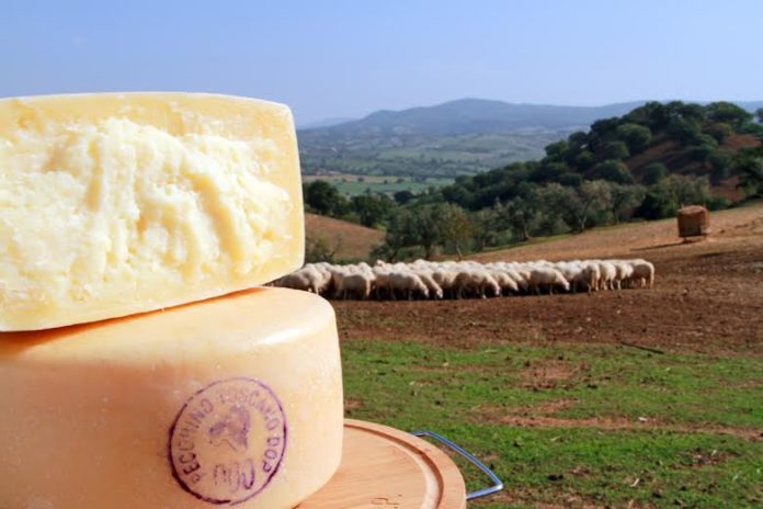 PECORINO TOSCANO dop