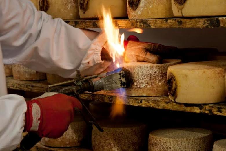 PECORINO TOSCANO dop 2